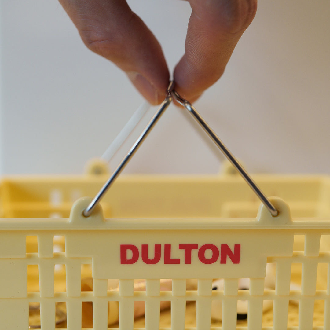 Dulton 迷你桌面收納籃