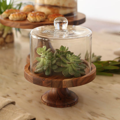 Dulton 相思木托盤